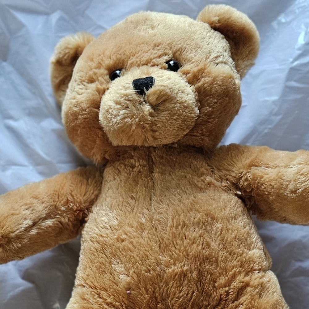 Bare Necessities Dance Recital Teddy Bear